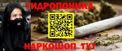 амф Гатчина