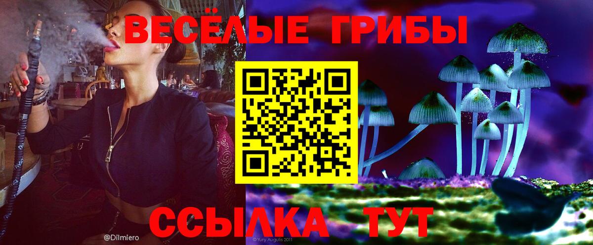 Галлюциногенные грибы Cubensis Вольск