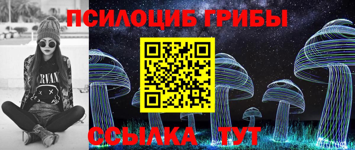 Галлюциногенные грибы Psilocybine cubensis  Галлюциногенные грибы мухоморы  Вольск  Вход с VPN 